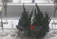 最美&ldquo;一線&rdquo;人-建筑裝飾業(yè)一線工人的一天