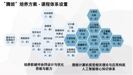 00后進軍鵝場 AI養鵝小程序引領智慧農業新革命